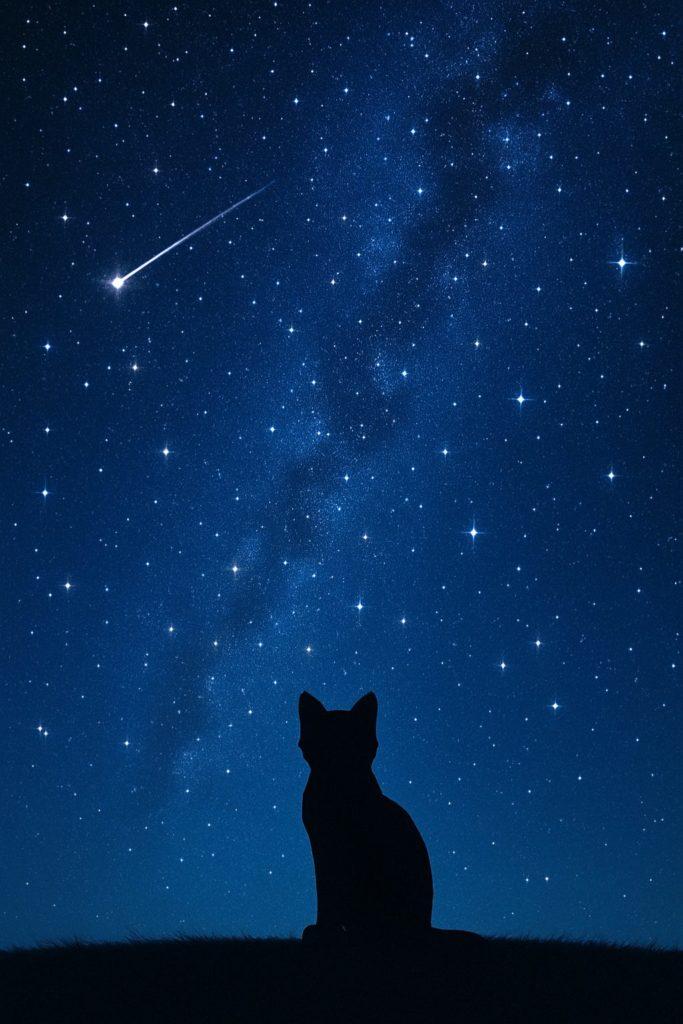 流れ星が流れる星空の下にたたずむ小さな猫のシルエット。ネコ目の動物たちの進化の神秘とロマンを象徴する幻想的な風景