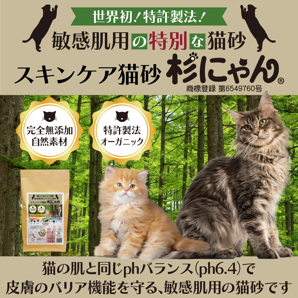 臭い対策におすすめの猫砂3選のイメージ画像
