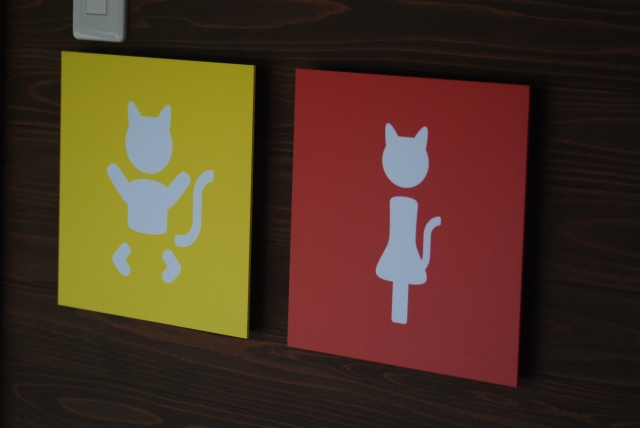 下痢は老猫に多く見られる消化器トラブルの一つです