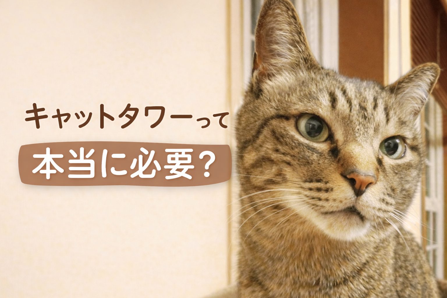 キャットタワーは本当に必要か考えているキジトラ猫