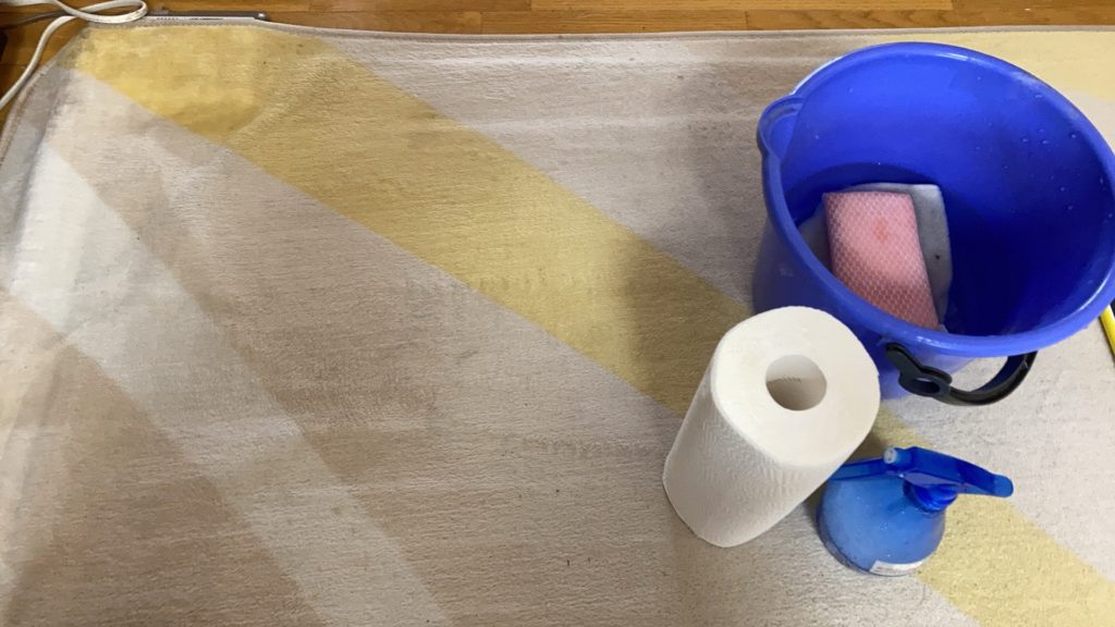 猫の粗相で汚れたカーペットを掃除している様子